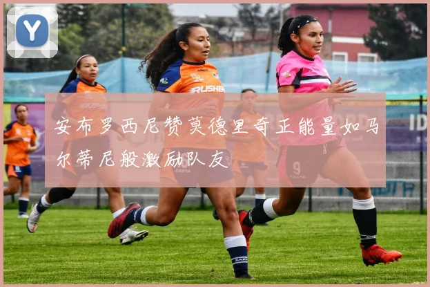 安布罗西尼赞莫德里奇正能量如马尔蒂尼般激励队友