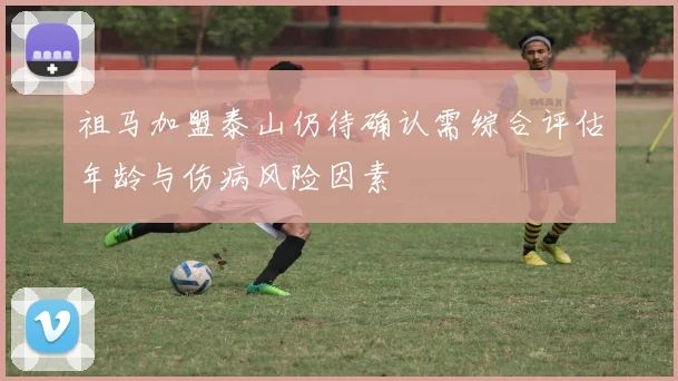 祖马加盟泰山仍待确认需综合评估年龄与伤病风险因素
