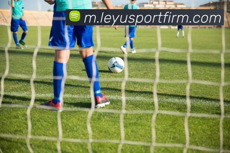 乐鱼体育品牌故事